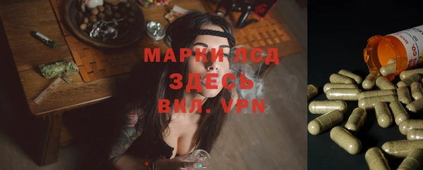 МДПВ Володарск
