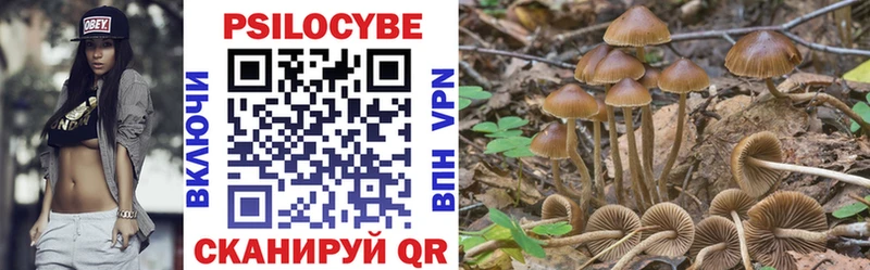 Псилоцибиновые грибы Magic Shrooms  купить наркоту  Гвардейск 